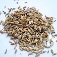 Ahli Gastroenterologi Harvard Ungkap 6 Biji-bijian Terbaik untuk Berbagai Masalah Kesehatan