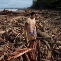 Mengulik Penyebab Bencana Alam Sumatera, Benarkah Gegara Pembalakan Liar?