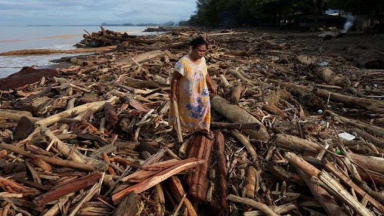 Mengulik Penyebab Bencana Alam Sumatera, Benarkah Gegara Pembalakan Liar?