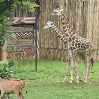 5 Destinasi Wisata Bandung yang Paling Cocok untuk Liburan Keluarga