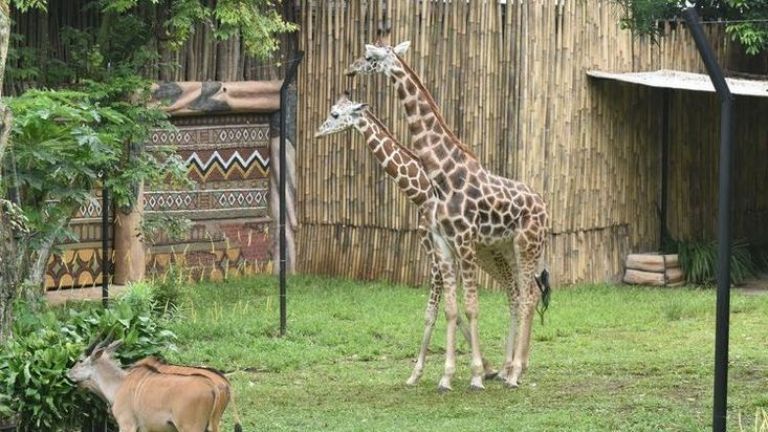 5 Destinasi Wisata Bandung yang Paling Cocok untuk Liburan Keluarga