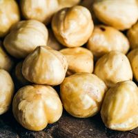 Indonesia Eximbank Dorong Potensi Ekspor Kemiri Nusa Tenggara Barat