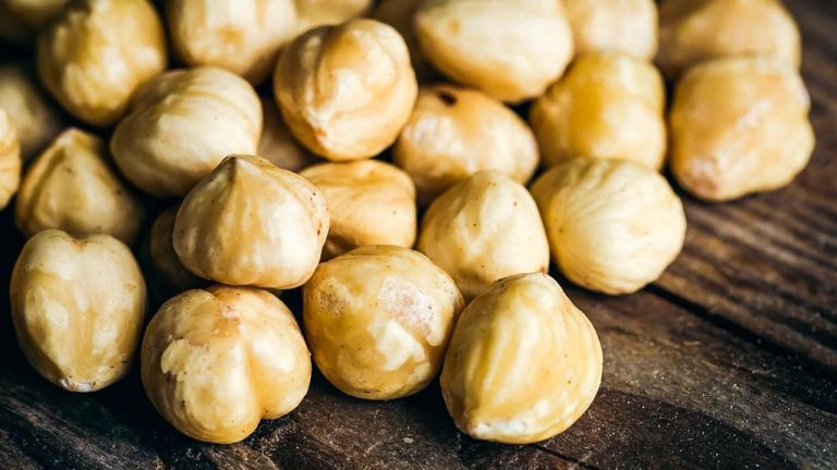 Indonesia Eximbank Dorong Potensi Ekspor Kemiri Nusa Tenggara Barat