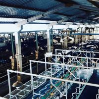 PT Perkebunan Kandangan Madiun PSN Matangkan  Persiapan Hilirisasi Susu Bersama Bappenas