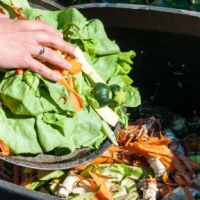 Bagaimana Cara Mencegah Pencemaran Lingkungan dari Limbah MBG?