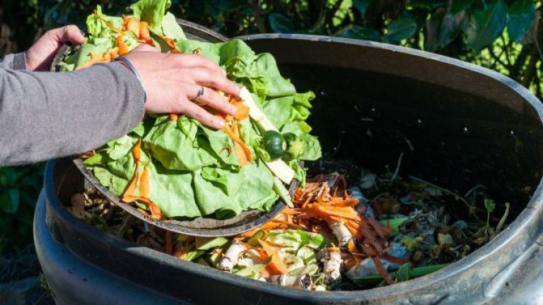 Bagaimana Cara Mencegah Pencemaran Lingkungan dari Limbah MBG?