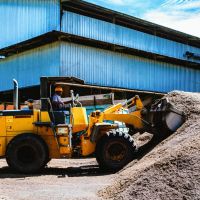 Mengoptimalkan Potensi Limbah Kelapa Sawit