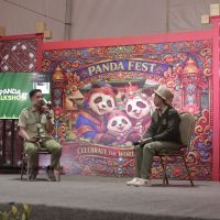 Taman Safari Rayakan Kelahiran Panda Pertama di Indonesia Lewat Panda Fest 2026