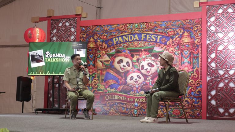 Taman Safari Rayakan Kelahiran Panda Pertama di Indonesia Lewat Panda Fest 2026