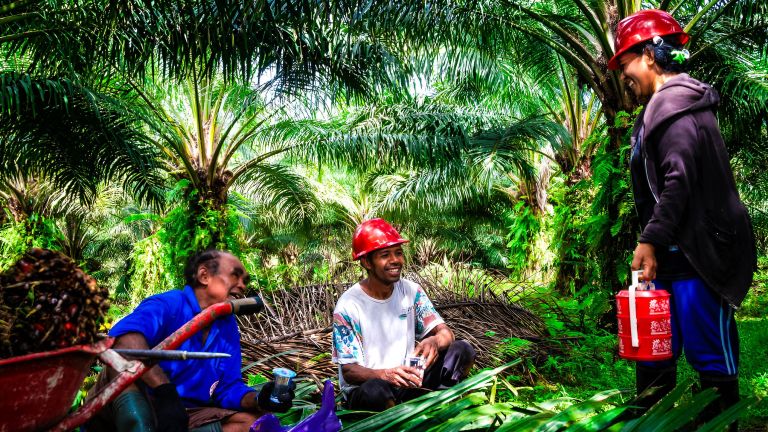 GAPKI: Industri Sawit Berkomitmen Wujudkan Kesetaraan bagi Perempuan Pekerja