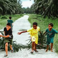 Pengembangan SDM Jadi Kunci Keberlanjutan Industri Sawit