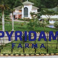 PYFA Cetak Rekor Penjualan Bersih Rp 2,76 Triliun di Tahun Buku 2025