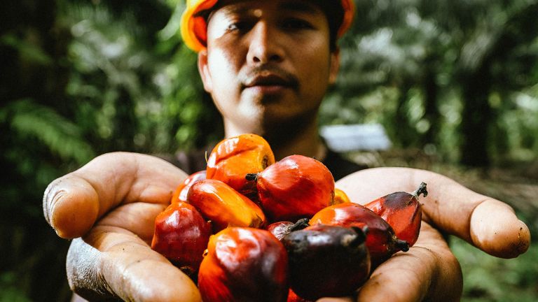 PASPI Apresiasi Komitmen BPDP di Riset Kelapa Sawit