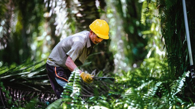 BPDP Jadi Lokomotif Pengembangan SDM Sawit Nasional