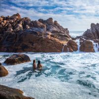 5 Pantai 'Hidden Gem' di Australia Barat, Mana yang Ada di Bucket List Kamu?