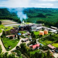 Komitmen Industri Sawit Wujudkan Ekonomi Hijau