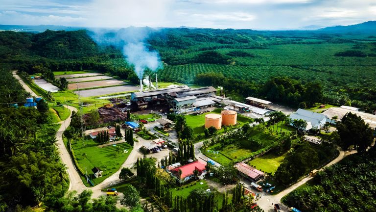 Komitmen Industri Sawit Wujudkan Ekonomi Hijau
