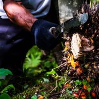 Menjawab Tantangan Traceability di Industri Sawit Nasional