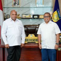 Catatan di Balik Rencana Kereta Api di Tanah Papua