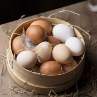 Telur Ayam vs Telur Bebek, Mana yang Lebih Menyehatkan?