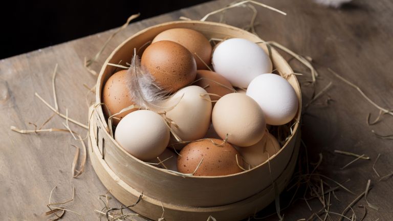 Telur Ayam vs Telur Bebek, Mana yang Lebih Menyehatkan?