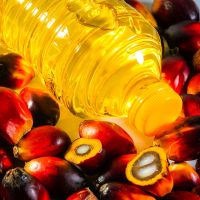 Kemasan Plastik Picu Kenaikan Harga Minyak Goreng