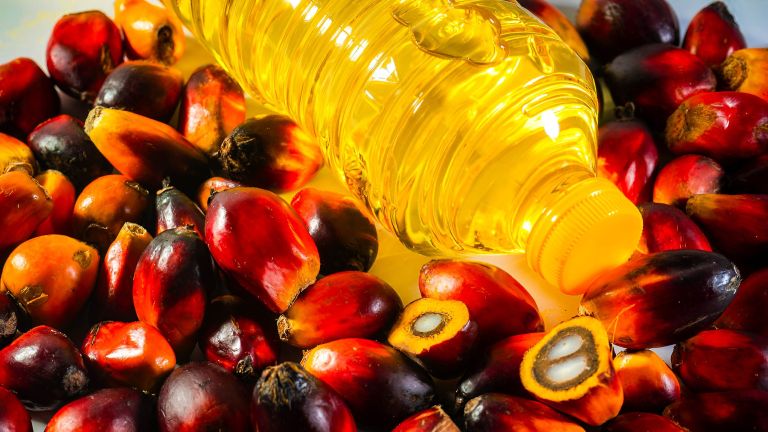 Kemasan Plastik Picu Kenaikan Harga Minyak Goreng