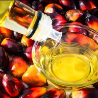 Lonjakan Biaya Plastik Picu Kenaikan Harga Minyak Goreng