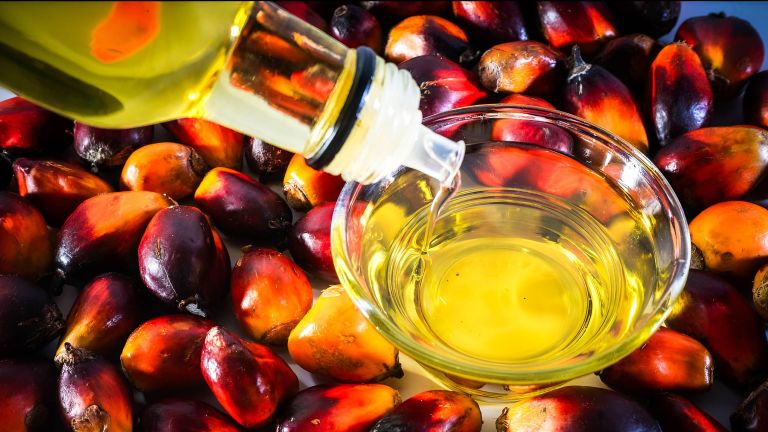 Lonjakan Biaya Plastik Picu Kenaikan Harga Minyak Goreng