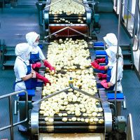 Membedah Kinerja Keuangan Indofood CBP pada Kuartal Pertama 2026
