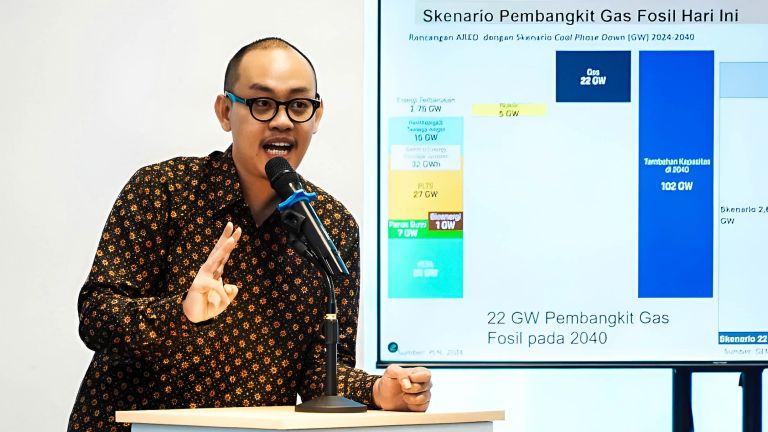Profil Bhima Yudhistira Adhinegara, Pendiri dan Direktur CELIOS