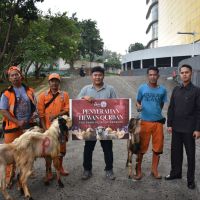 The Park Pejaten Salurkan Hewan Kurban untuk Warga dan Karyawan di Iduladha 1447 H