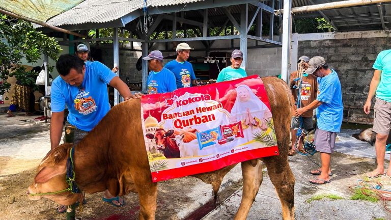 Kokola Group bersama Mamah Dedeh Salurkan Kurban Sapi Limosin di Ciamis
