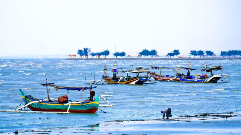 Dampak Perubahan Iklim bagi Kelestarian Ikan