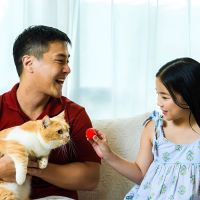 Ingin Bepergian dengan Anabul? Perhatikan 3 Hal Berikut