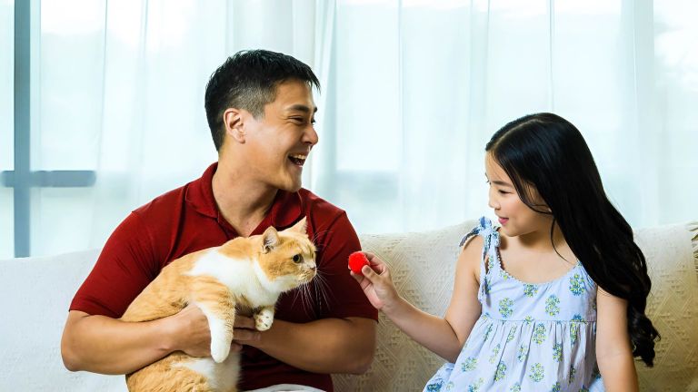 Ingin Bepergian dengan Anabul? Perhatikan 3 Hal Berikut