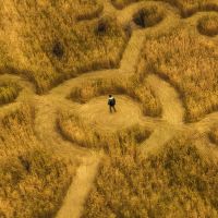 Sedang Tayang, Film Terbaru Steven Spielberg tentang Misteri Ekstraterestrial: Disclosure Day