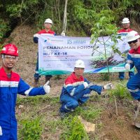 Peringatan Hari Lingkungan Hidup Sedunia, Pertamina Drilling Ajak Pekerja Tanam Pohon