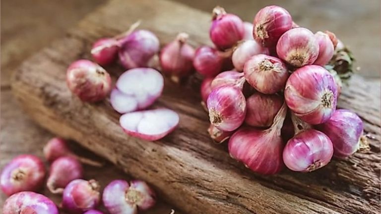 10 Manfaat Bawang Merah untuk Kesehatan, Bukan Cuma Bikin Masakan Makin Sedap