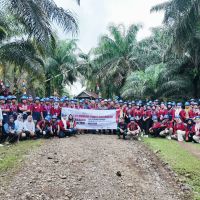 BPDP, Ditjenbun, dan DGL Learning Institute Latih 90 Pekebun Sawit Bengkulu Selatan Praktik Langsung Budidaya Sawit