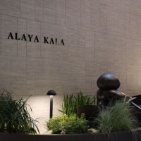 Menikmati Karya Seniman Adi Gunawan dalam Alaya Kala di ASHTA District 8