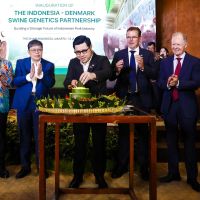 Sulawesi Optima Wirakarya dan DanBred Hadirkan Genetika Babi Unggul untuk Dorong Transformasi Industri Peternakan Modern