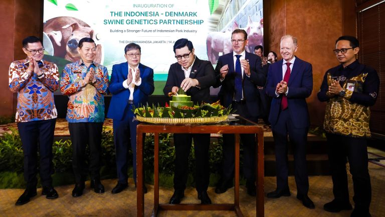 Sulawesi Optima Wirakarya dan DanBred Hadirkan Genetika Babi Unggul untuk Dorong Transformasi Industri Peternakan Modern