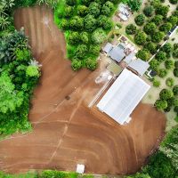 AA Kadu Dorong Regenerasi Pekebun Melalui Edukasi Budi Daya Durian Tasikmalaya