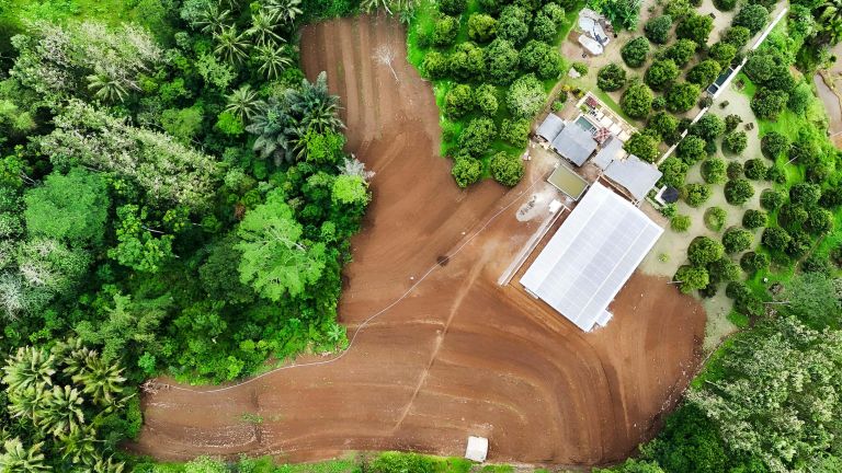 AA Kadu Dorong Regenerasi Pekebun Melalui Edukasi Budi Daya Durian Tasikmalaya