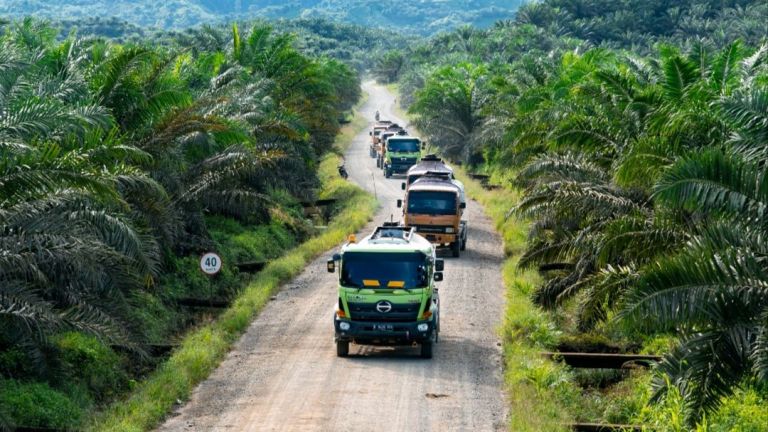 Mendorong Indonesia Jadi Pusat Hilirisasi Sawit Dunia