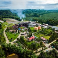 Mengoptimalkan Potensi Sawit sebagai Sumber Energi Terbarukan