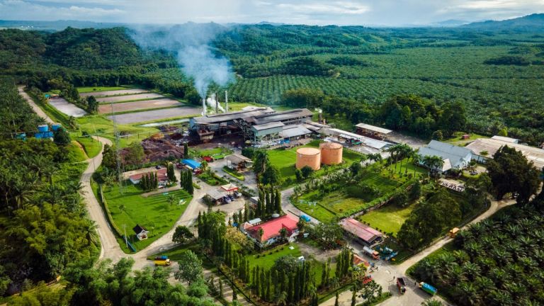 Mengoptimalkan Potensi Sawit sebagai Sumber Energi Terbarukan