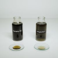 Punya Kulit Berjerawat Tapi Takut Pori-Pori Tersumbat? Ini 5 Fakta Tamanu Oil yang Wajib Kamu Tahu!