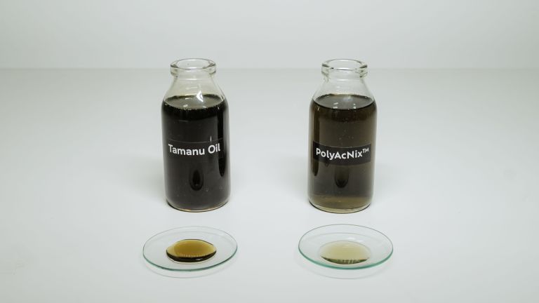 Punya Kulit Berjerawat Tapi Takut Pori-Pori Tersumbat? Ini 5 Fakta Tamanu Oil yang Wajib Kamu Tahu!